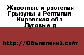 Животные и растения Грызуны и Рептилии. Кировская обл.,Луговые д.